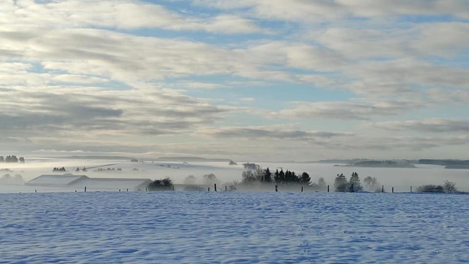 Gite Du Cheval Blanc Sainte-Ode Exteriér fotografie